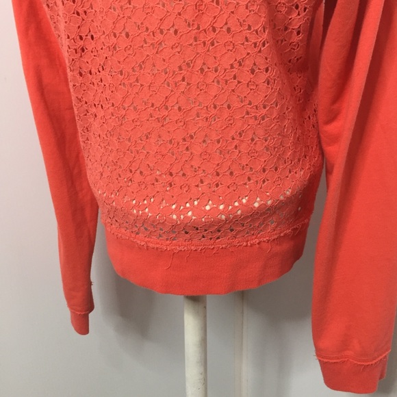 Coral Lace Sweatshirt - Picture 7 of 8